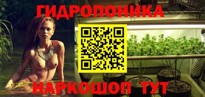 спиды Лесосибирск