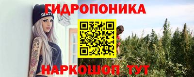 спиды Лесосибирск