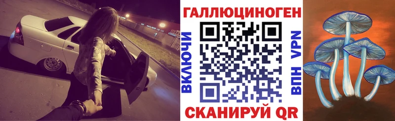 Псилоцибиновые грибы Cubensis  блэк спрут как войти  Грозный  где купить наркотик 