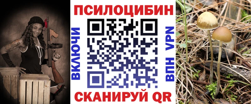 Галлюциногенные грибы Psilocybine cubensis Грозный