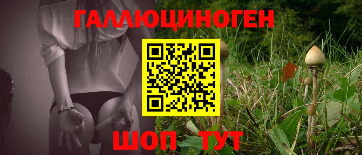 Псилоцибиновые грибы Magic Shrooms Грозный